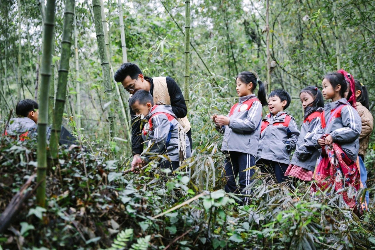 近郊文旅4