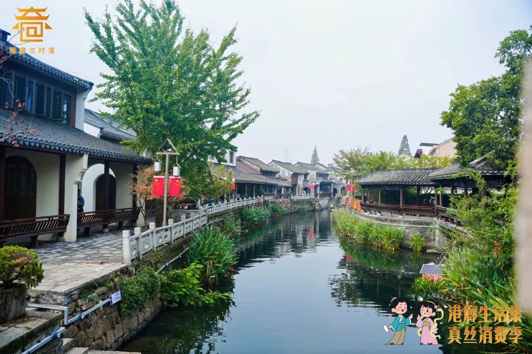 浙江大学校友乡村振兴典型案例相关活动